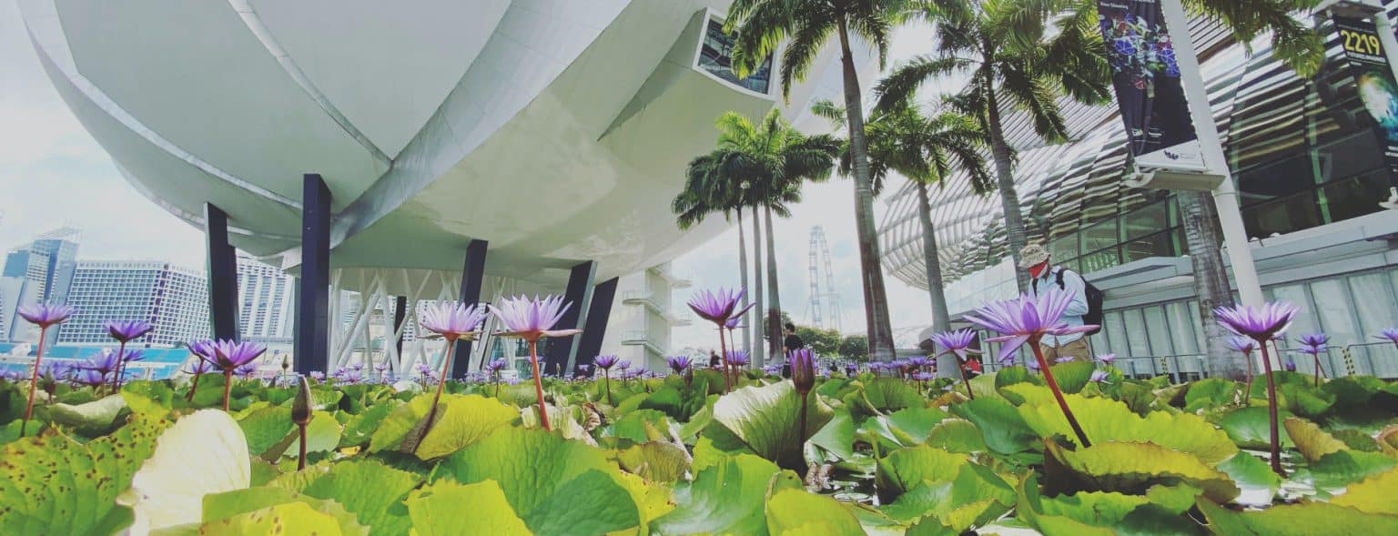 Baubranche Zukunft Header