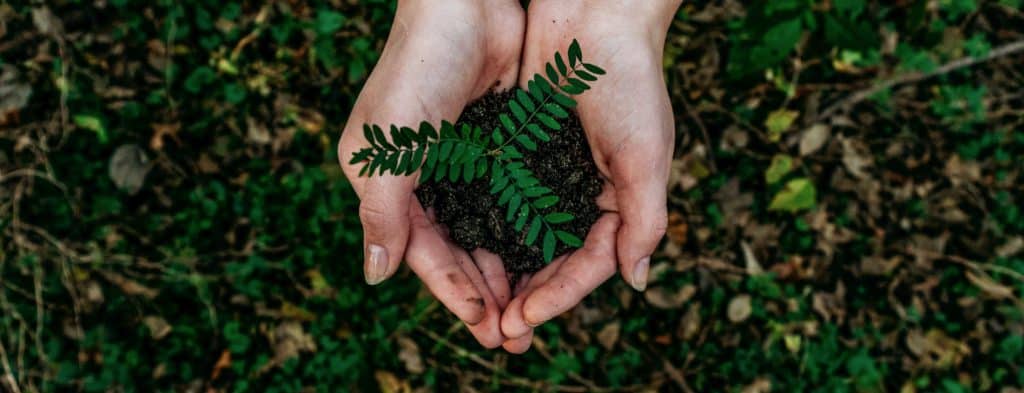 Nachhaltiges Bauen Header