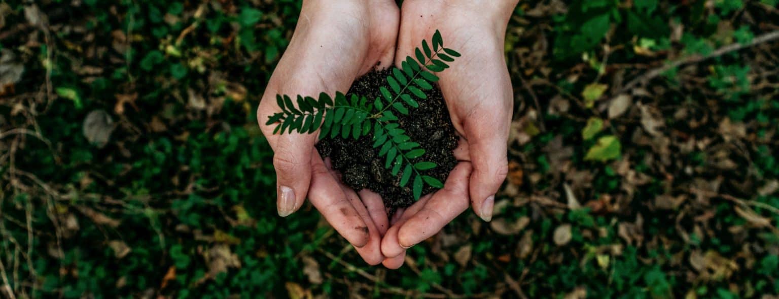 Nachhaltiges Bauen Header